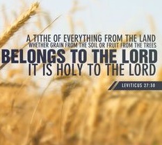 Image result for Leviticus 27: 30-34