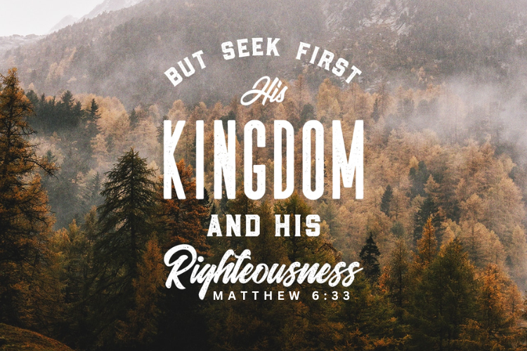 Matthew 6:33 but seek first his kingdom and his righteousness