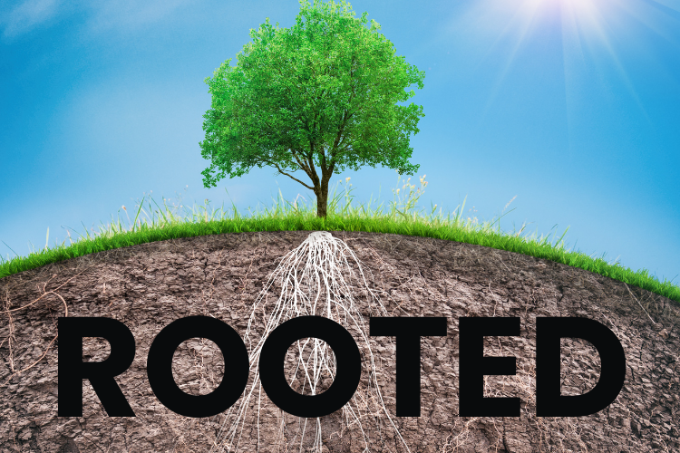 sermon series idea: rooted